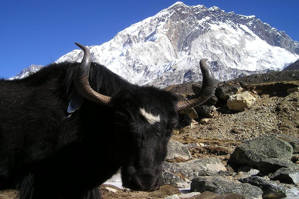 Reasons to trek to Everest Base Camp