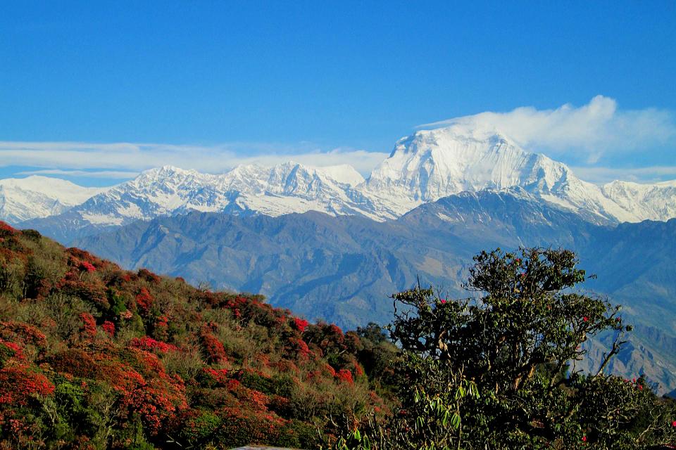 Mohare Danda Trek