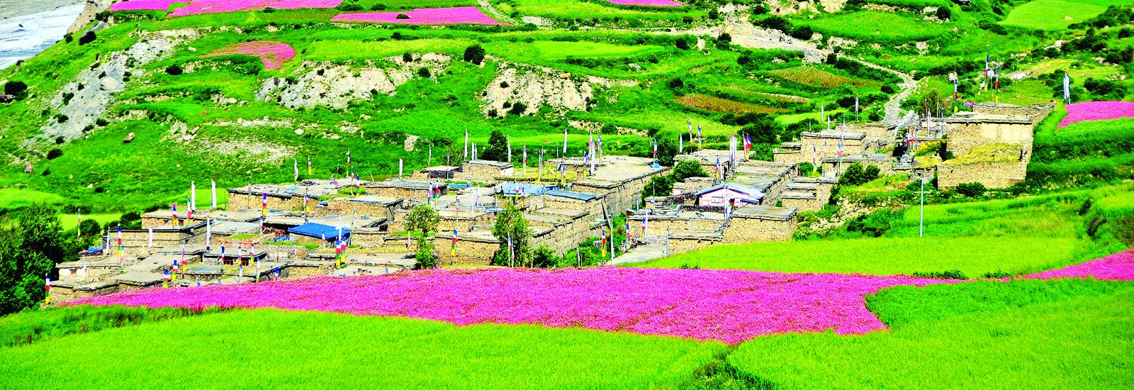 Annapurna Circuit Trek